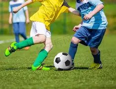 约基奇三双,数据被沃西,盛赞,完美体育官网,完美体育APP,WMSports,完美体育平台