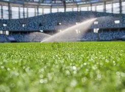 努诺涉嫌森,林纠纷,法律争议引,完美体育官网,完美体育APP,WMSports,完美体育平台